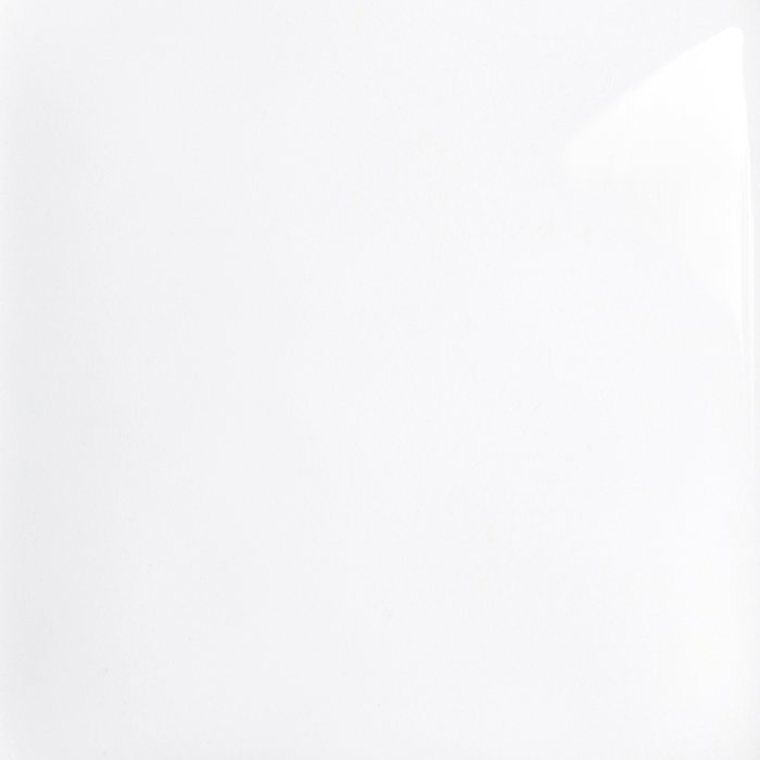 Glossy Alpine White with RAK-ProTeK (9WH)